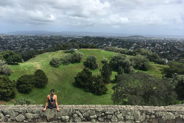 Shore Excursion: Half-Day Auckland Volcanoes Tour - Photo 1 of 7